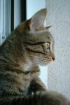 Misou prend la pose