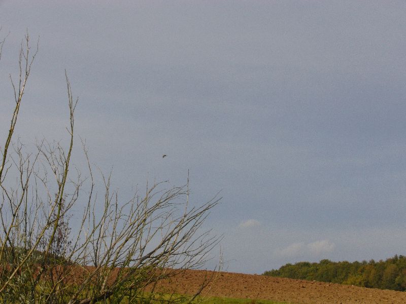 P1000672