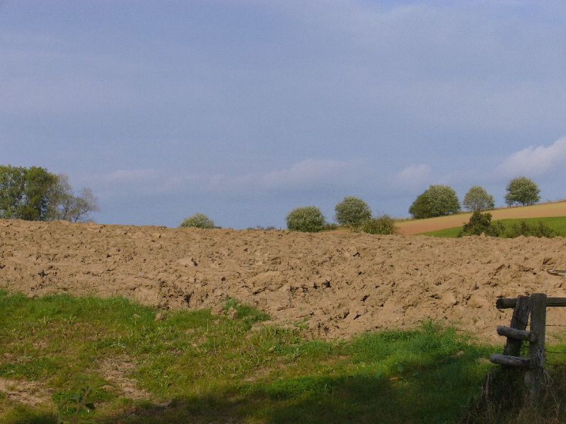 P1000673