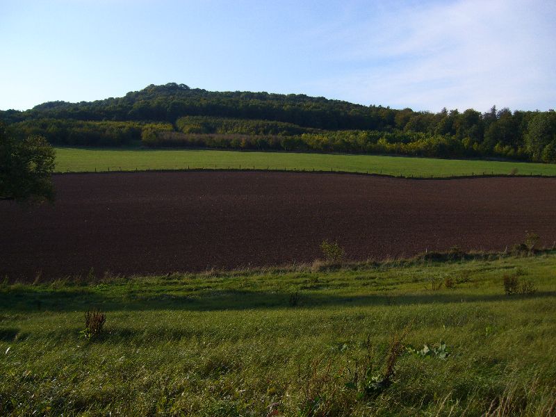 P1000679