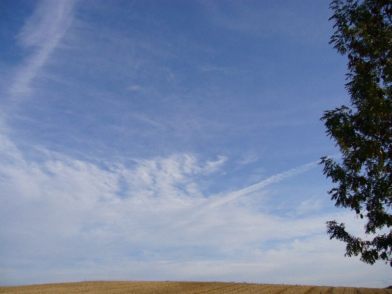P1000682