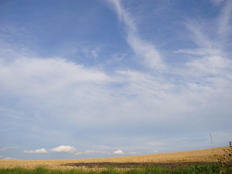 P1000683