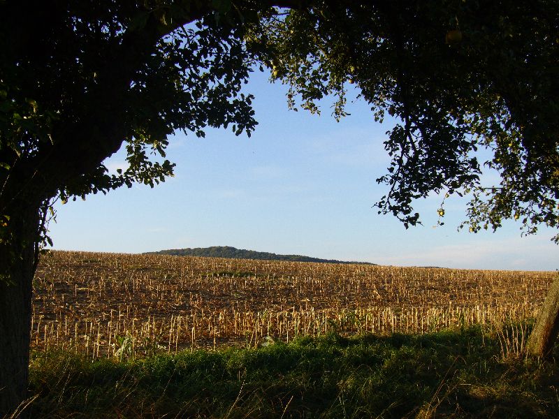 P1000696