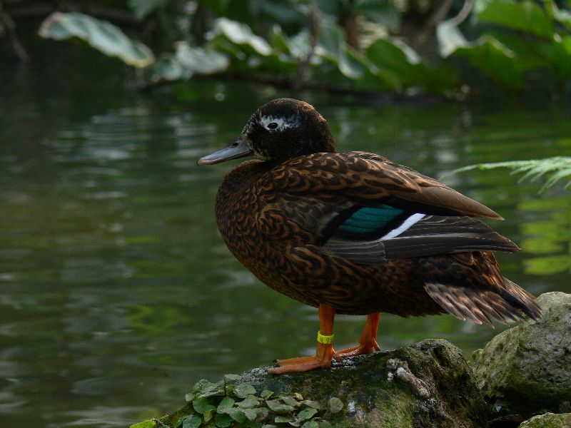 P1000995