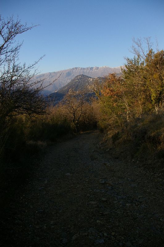 IMGP0159