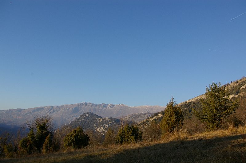 IMGP0161