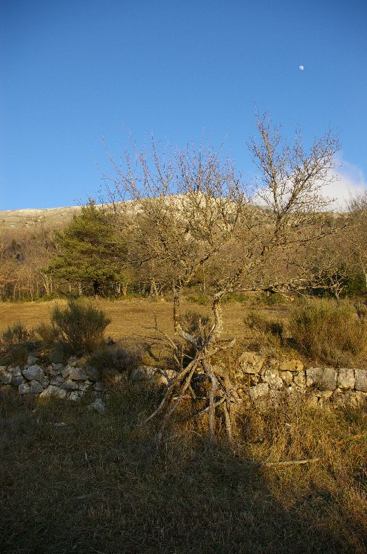 IMGP0165