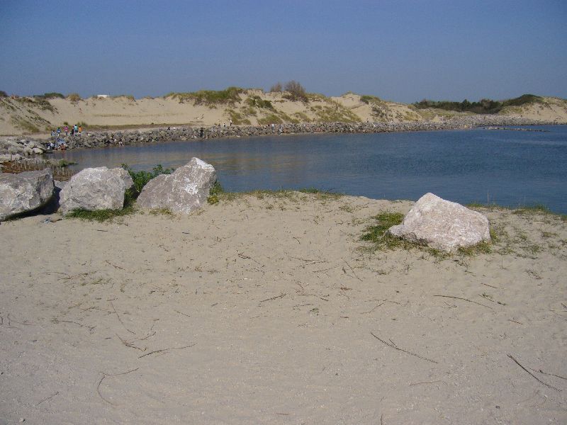 P1010205